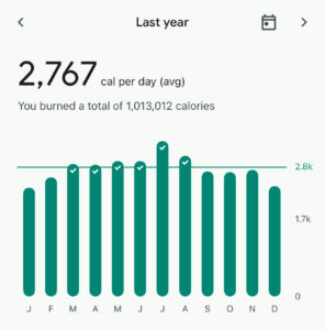 Calories Burned Fitbit stats 2024