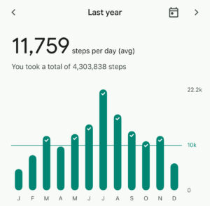 Walking Fitbit Stats 2024