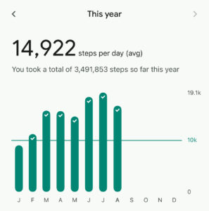 Walking Fitbit Stats 2025