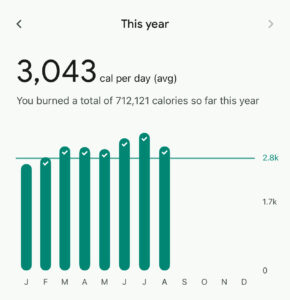Calories Burned Fitbit stats 2025