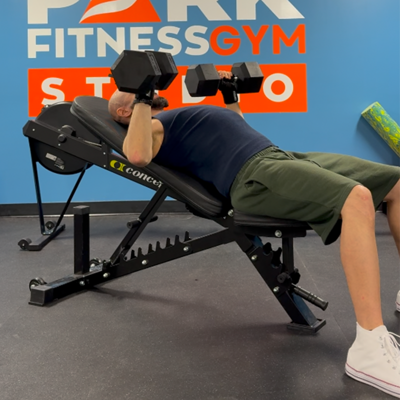 jamal habib incline DB Chest Press